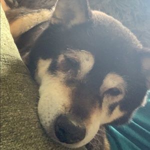 Meet your Posher, Ellie